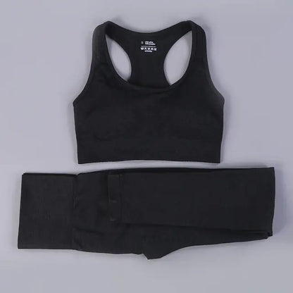 2/3PCS Seamless Women's Workout Outfits