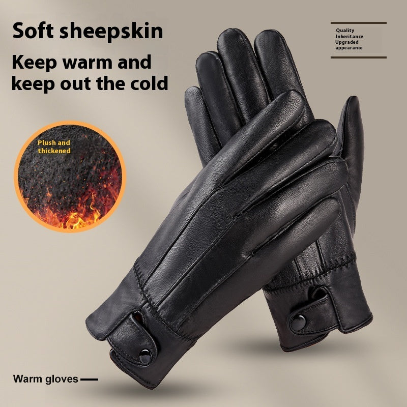 Genuine Leather Gloves for Men and Women