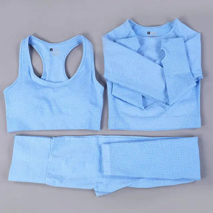 2/3PCS Seamless Women's Workout Outfits