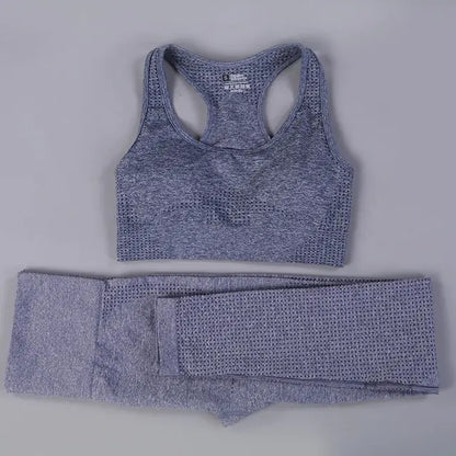 2/3PCS Seamless Women's Workout Outfits