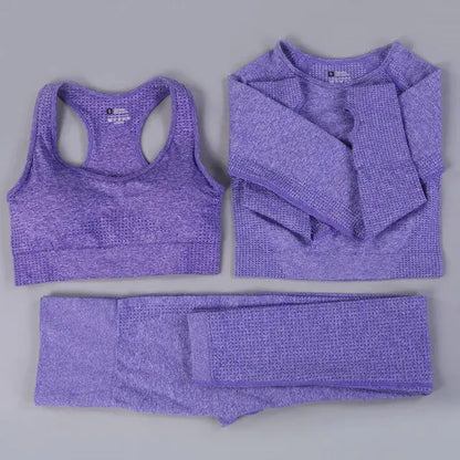 2/3PCS Seamless Women's Workout Outfits